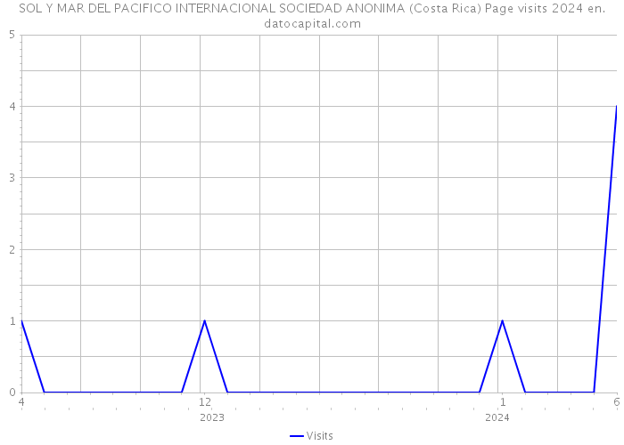 SOL Y MAR DEL PACIFICO INTERNACIONAL SOCIEDAD ANONIMA (Costa Rica) Page visits 2024 