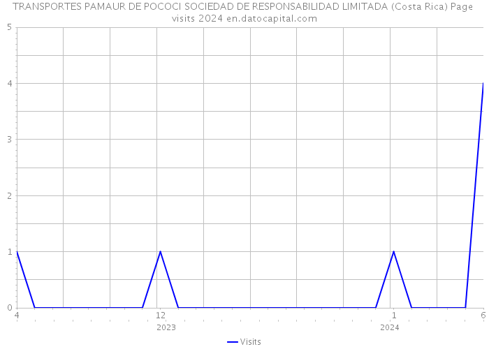 TRANSPORTES PAMAUR DE POCOCI SOCIEDAD DE RESPONSABILIDAD LIMITADA (Costa Rica) Page visits 2024 