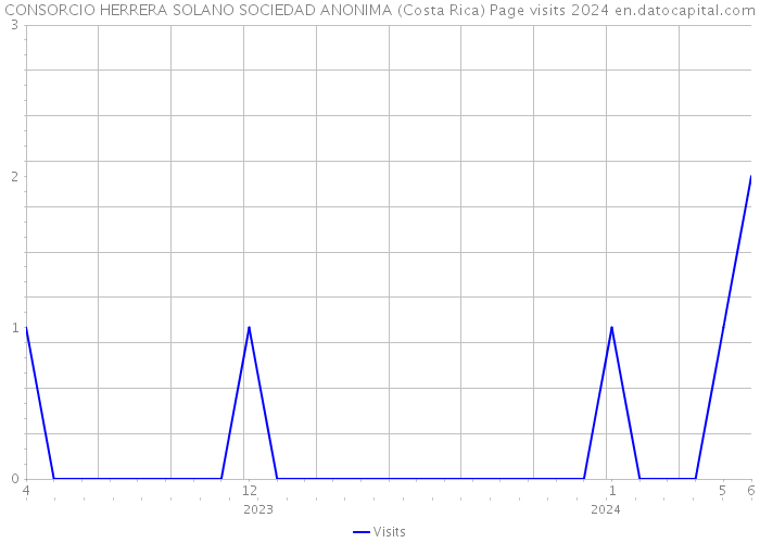CONSORCIO HERRERA SOLANO SOCIEDAD ANONIMA (Costa Rica) Page visits 2024 