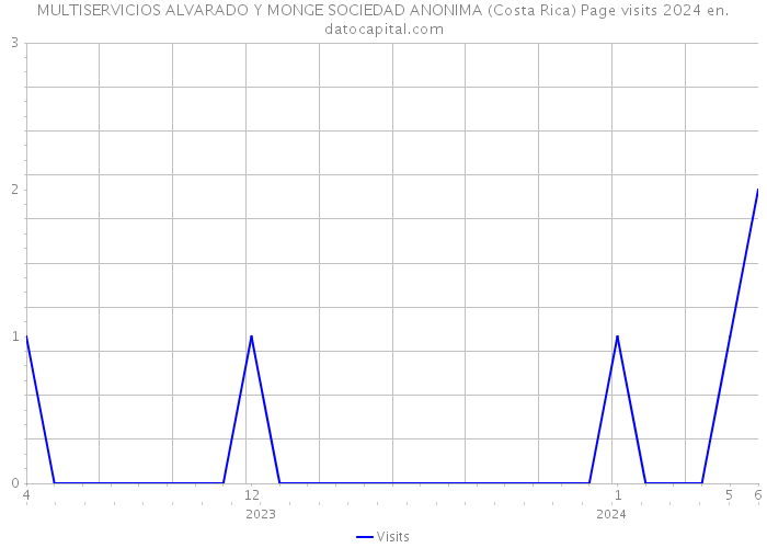 MULTISERVICIOS ALVARADO Y MONGE SOCIEDAD ANONIMA (Costa Rica) Page visits 2024 