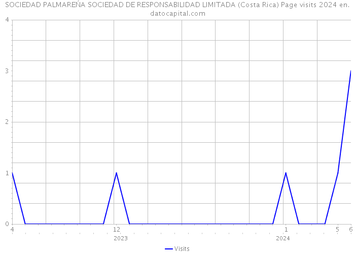 SOCIEDAD PALMAREŃA SOCIEDAD DE RESPONSABILIDAD LIMITADA (Costa Rica) Page visits 2024 