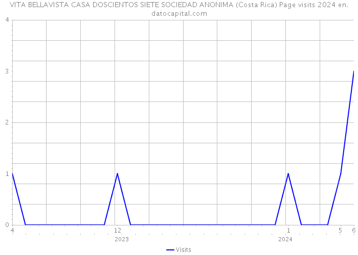 VITA BELLAVISTA CASA DOSCIENTOS SIETE SOCIEDAD ANONIMA (Costa Rica) Page visits 2024 
