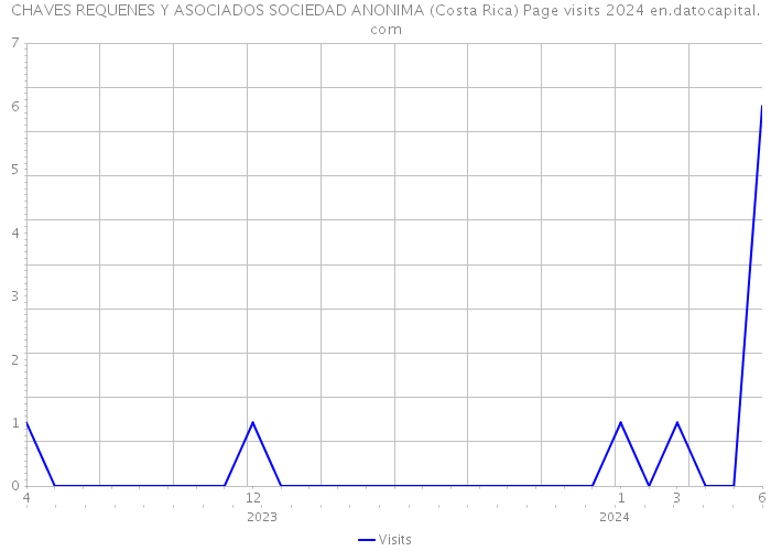 CHAVES REQUENES Y ASOCIADOS SOCIEDAD ANONIMA (Costa Rica) Page visits 2024 