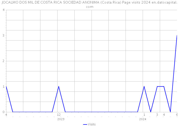 JOCALMO DOS MIL DE COSTA RICA SOCIEDAD ANONIMA (Costa Rica) Page visits 2024 