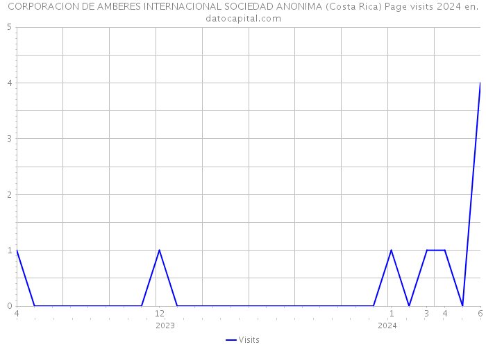 CORPORACION DE AMBERES INTERNACIONAL SOCIEDAD ANONIMA (Costa Rica) Page visits 2024 