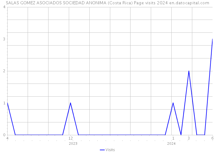 SALAS GOMEZ ASOCIADOS SOCIEDAD ANONIMA (Costa Rica) Page visits 2024 