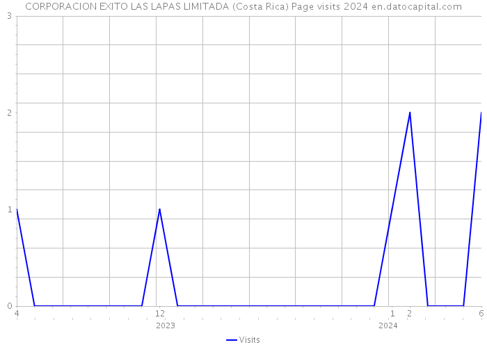 CORPORACION EXITO LAS LAPAS LIMITADA (Costa Rica) Page visits 2024 