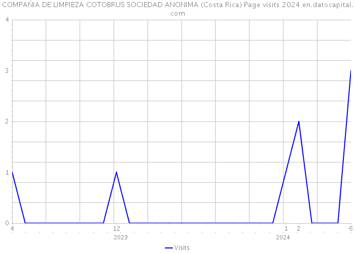 COMPAŃIA DE LIMPIEZA COTOBRUS SOCIEDAD ANONIMA (Costa Rica) Page visits 2024 