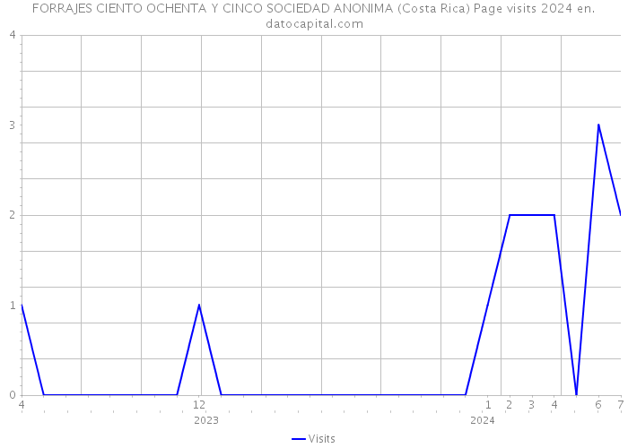 FORRAJES CIENTO OCHENTA Y CINCO SOCIEDAD ANONIMA (Costa Rica) Page visits 2024 