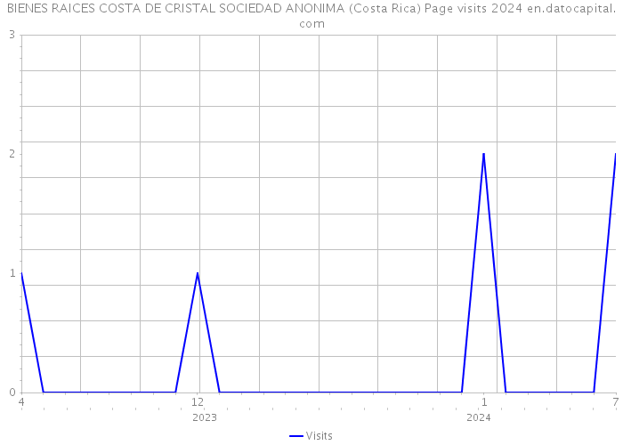 BIENES RAICES COSTA DE CRISTAL SOCIEDAD ANONIMA (Costa Rica) Page visits 2024 