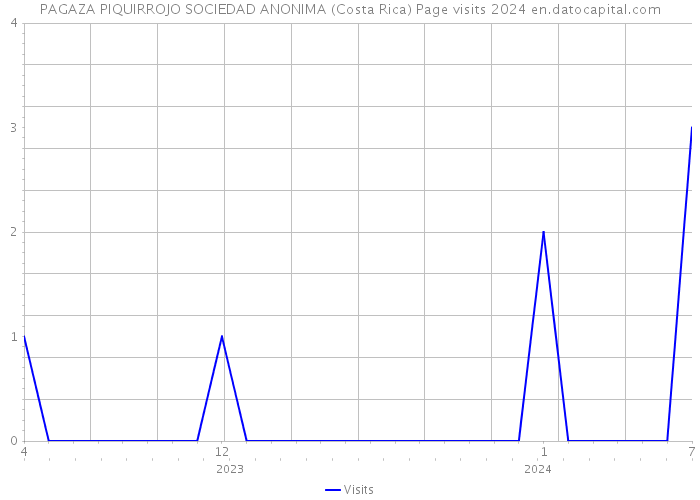PAGAZA PIQUIRROJO SOCIEDAD ANONIMA (Costa Rica) Page visits 2024 
