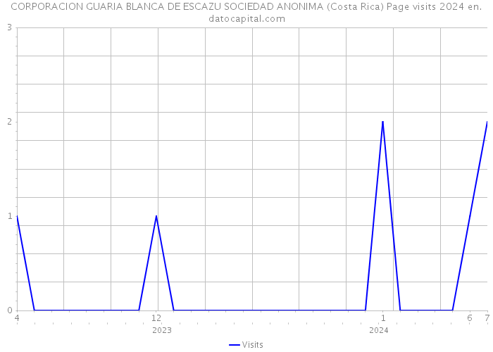 CORPORACION GUARIA BLANCA DE ESCAZU SOCIEDAD ANONIMA (Costa Rica) Page visits 2024 