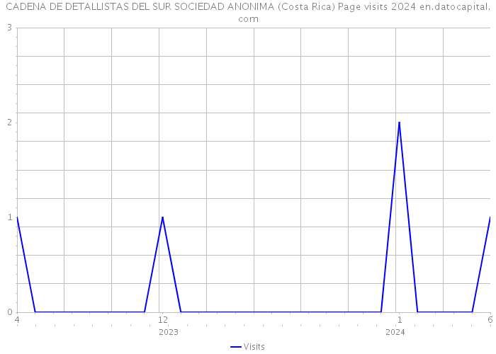 CADENA DE DETALLISTAS DEL SUR SOCIEDAD ANONIMA (Costa Rica) Page visits 2024 
