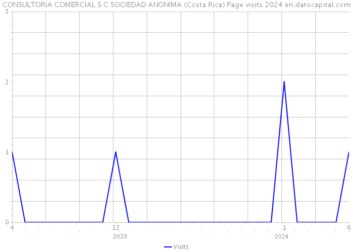 CONSULTORIA COMERCIAL S C SOCIEDAD ANONIMA (Costa Rica) Page visits 2024 