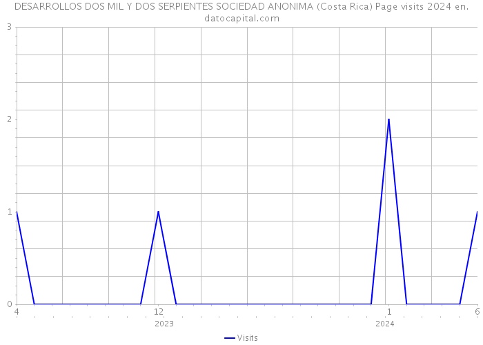 DESARROLLOS DOS MIL Y DOS SERPIENTES SOCIEDAD ANONIMA (Costa Rica) Page visits 2024 