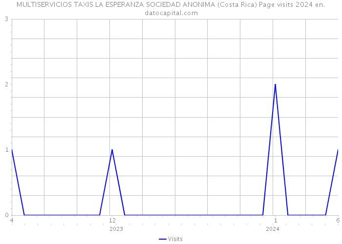 MULTISERVICIOS TAXIS LA ESPERANZA SOCIEDAD ANONIMA (Costa Rica) Page visits 2024 