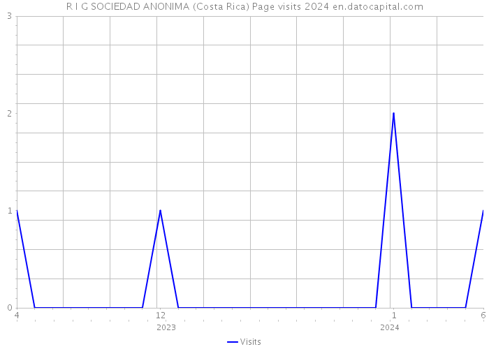 R I G SOCIEDAD ANONIMA (Costa Rica) Page visits 2024 