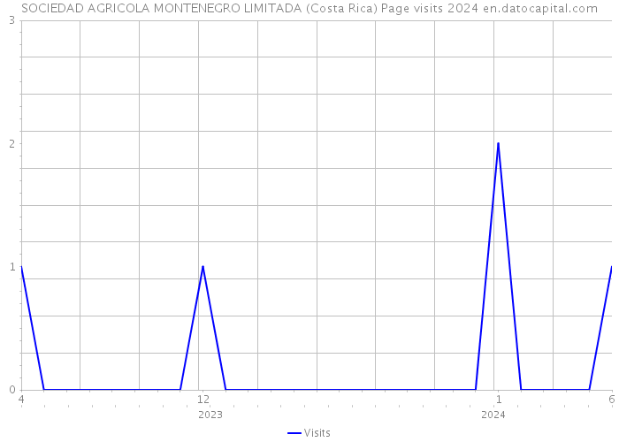 SOCIEDAD AGRICOLA MONTENEGRO LIMITADA (Costa Rica) Page visits 2024 