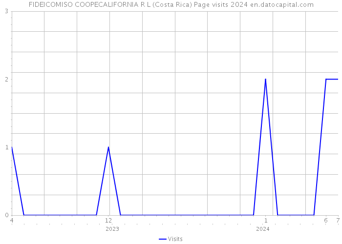 FIDEICOMISO COOPECALIFORNIA R L (Costa Rica) Page visits 2024 