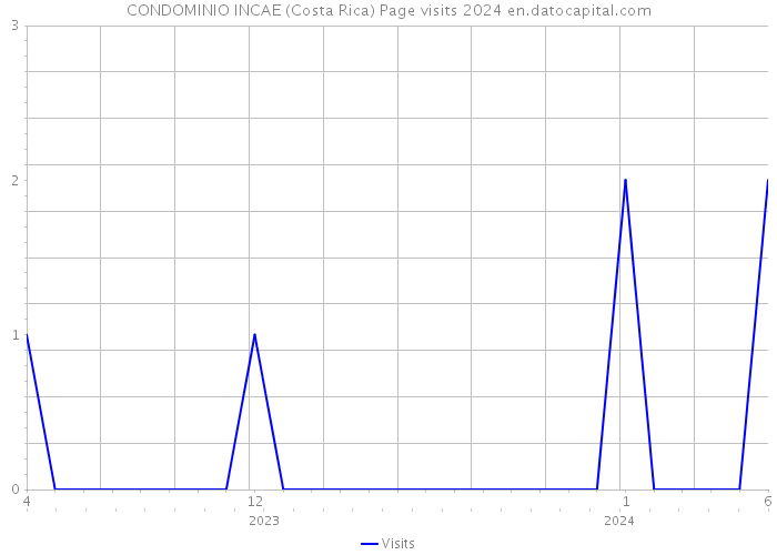 CONDOMINIO INCAE (Costa Rica) Page visits 2024 