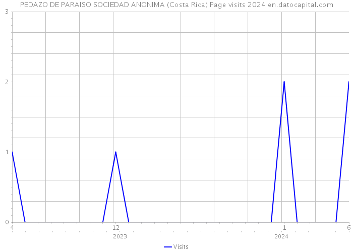 PEDAZO DE PARAISO SOCIEDAD ANONIMA (Costa Rica) Page visits 2024 