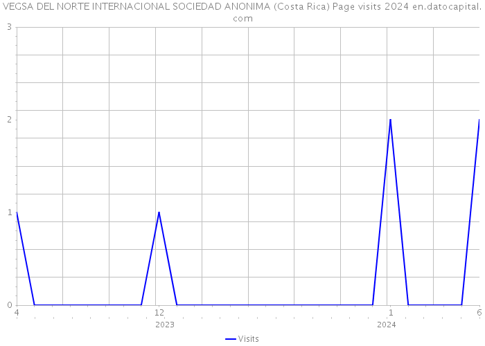 VEGSA DEL NORTE INTERNACIONAL SOCIEDAD ANONIMA (Costa Rica) Page visits 2024 