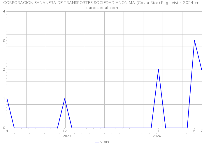 CORPORACION BANANERA DE TRANSPORTES SOCIEDAD ANONIMA (Costa Rica) Page visits 2024 