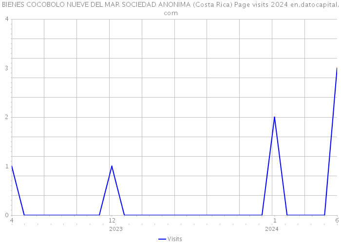 BIENES COCOBOLO NUEVE DEL MAR SOCIEDAD ANONIMA (Costa Rica) Page visits 2024 