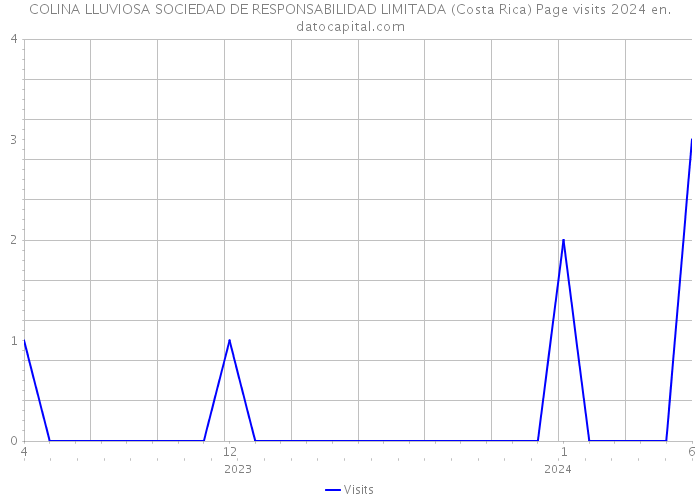COLINA LLUVIOSA SOCIEDAD DE RESPONSABILIDAD LIMITADA (Costa Rica) Page visits 2024 