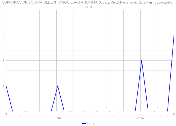 CORPORACION SOLARA DEL EXITO SOCIEDAD ANONIMA (Costa Rica) Page visits 2024 