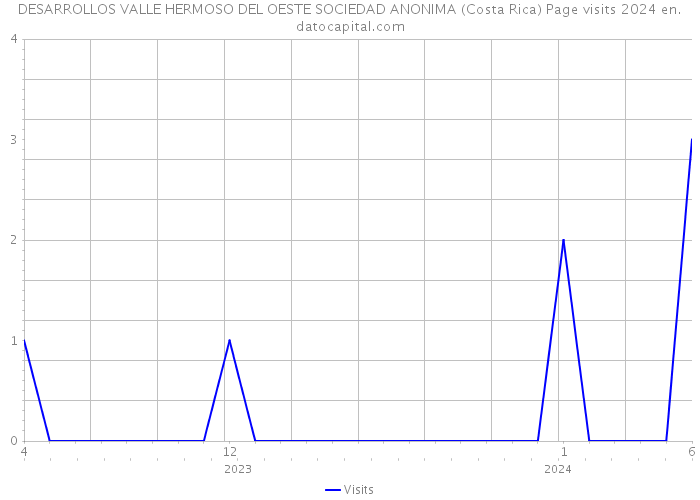 DESARROLLOS VALLE HERMOSO DEL OESTE SOCIEDAD ANONIMA (Costa Rica) Page visits 2024 