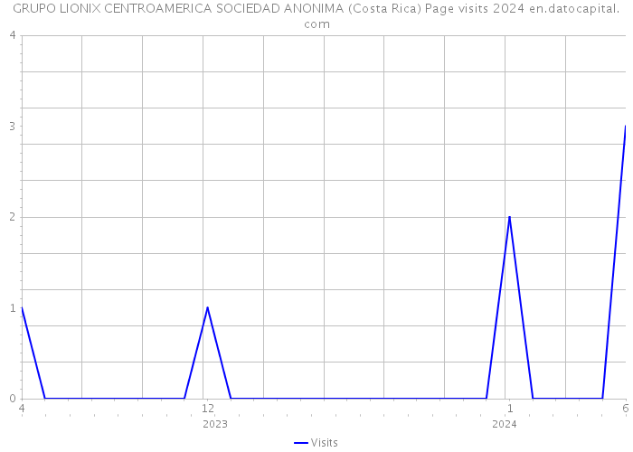 GRUPO LIONIX CENTROAMERICA SOCIEDAD ANONIMA (Costa Rica) Page visits 2024 