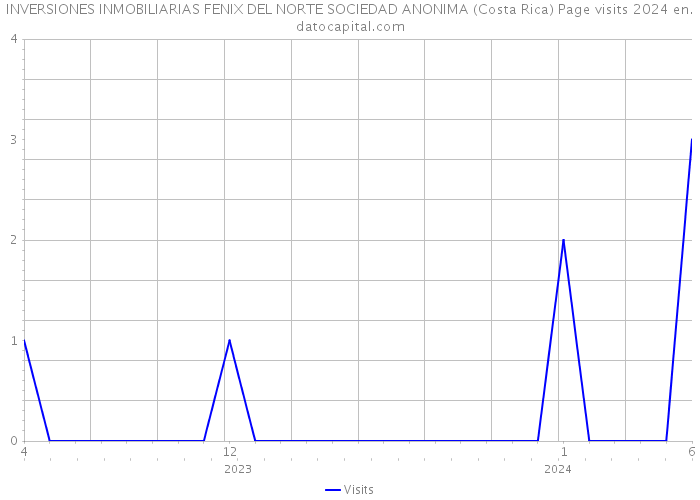 INVERSIONES INMOBILIARIAS FENIX DEL NORTE SOCIEDAD ANONIMA (Costa Rica) Page visits 2024 