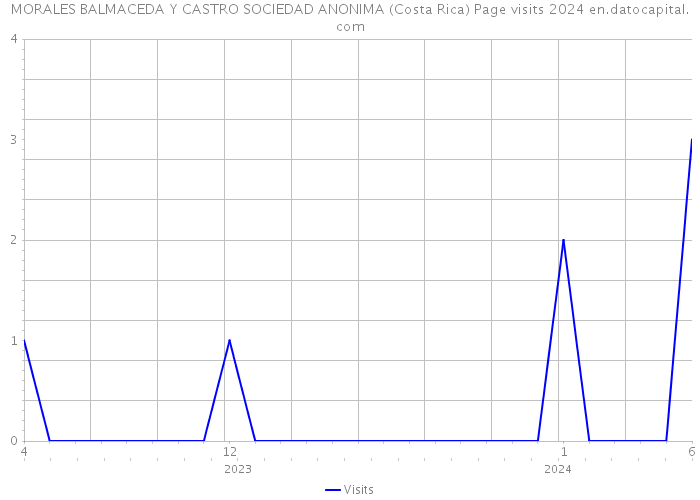 MORALES BALMACEDA Y CASTRO SOCIEDAD ANONIMA (Costa Rica) Page visits 2024 