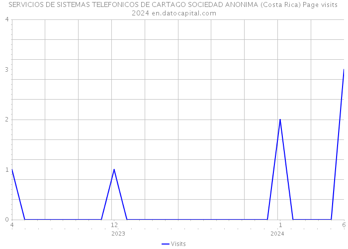 SERVICIOS DE SISTEMAS TELEFONICOS DE CARTAGO SOCIEDAD ANONIMA (Costa Rica) Page visits 2024 