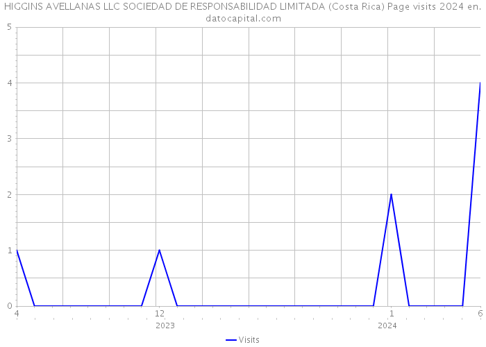 HIGGINS AVELLANAS LLC SOCIEDAD DE RESPONSABILIDAD LIMITADA (Costa Rica) Page visits 2024 