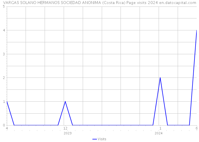 VARGAS SOLANO HERMANOS SOCIEDAD ANONIMA (Costa Rica) Page visits 2024 