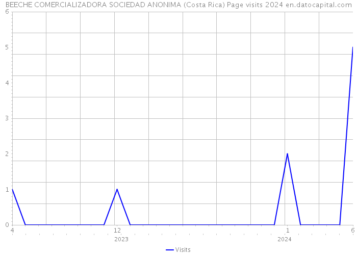 BEECHE COMERCIALIZADORA SOCIEDAD ANONIMA (Costa Rica) Page visits 2024 