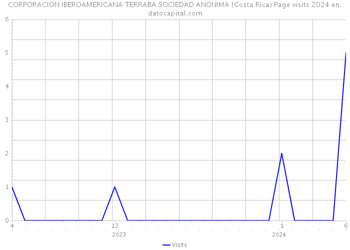 CORPORACION IBEROAMERICANA TERRABA SOCIEDAD ANONIMA (Costa Rica) Page visits 2024 
