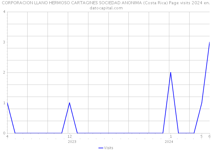 CORPORACION LLANO HERMOSO CARTAGINES SOCIEDAD ANONIMA (Costa Rica) Page visits 2024 