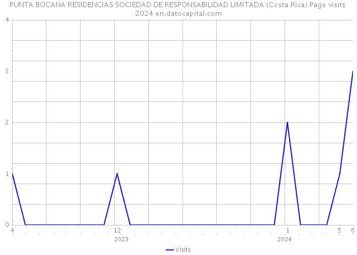 PUNTA BOCANA RESIDENCIAS SOCIEDAD DE RESPONSABILIDAD LIMITADA (Costa Rica) Page visits 2024 