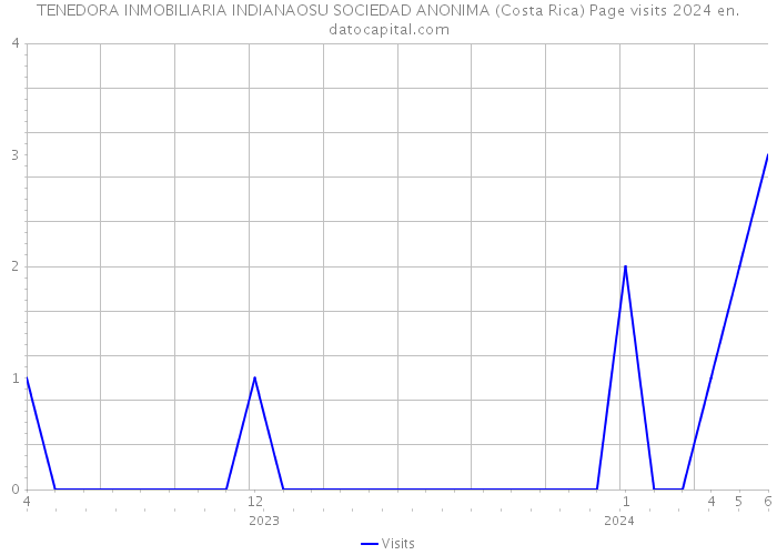 TENEDORA INMOBILIARIA INDIANAOSU SOCIEDAD ANONIMA (Costa Rica) Page visits 2024 