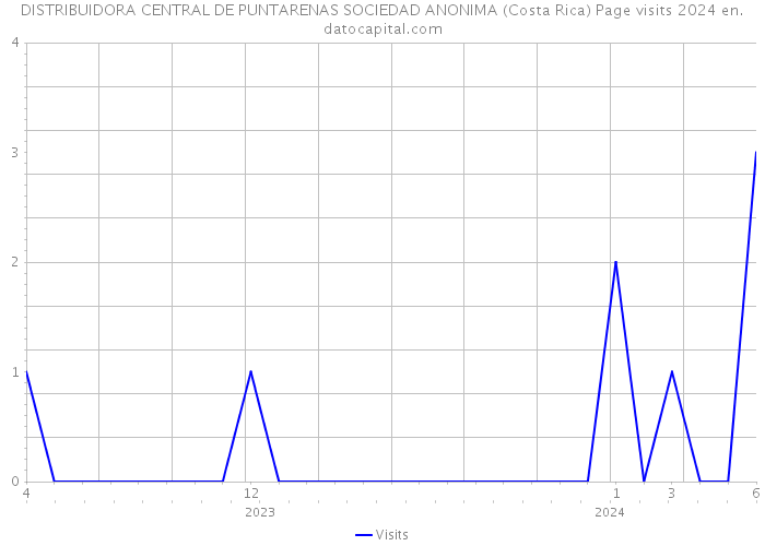 DISTRIBUIDORA CENTRAL DE PUNTARENAS SOCIEDAD ANONIMA (Costa Rica) Page visits 2024 