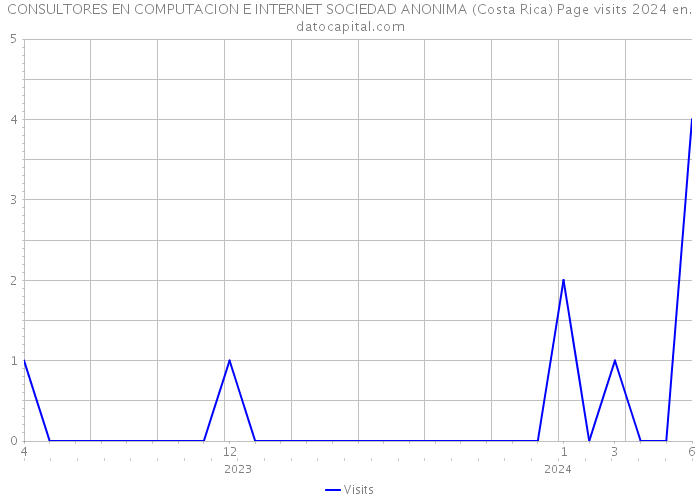 CONSULTORES EN COMPUTACION E INTERNET SOCIEDAD ANONIMA (Costa Rica) Page visits 2024 