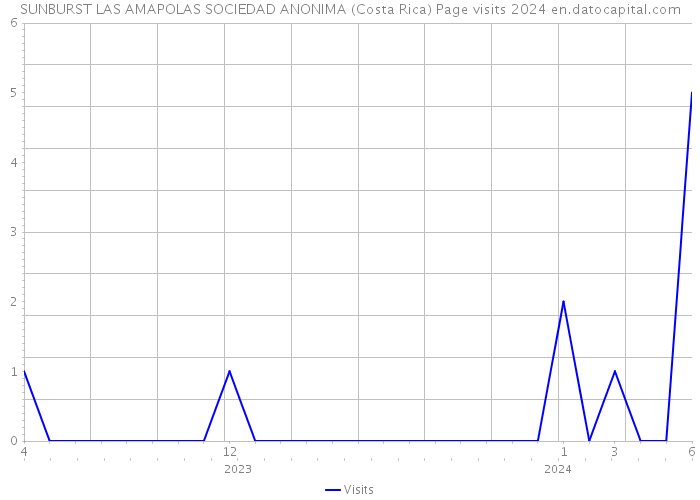 SUNBURST LAS AMAPOLAS SOCIEDAD ANONIMA (Costa Rica) Page visits 2024 