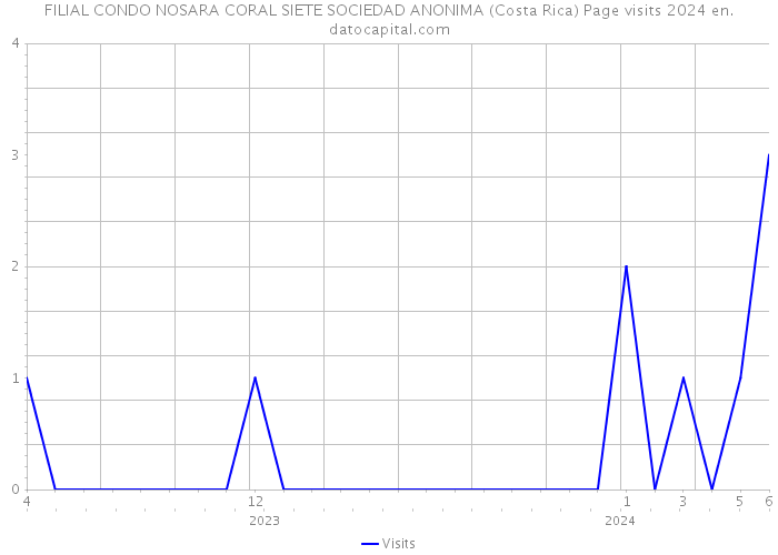 FILIAL CONDO NOSARA CORAL SIETE SOCIEDAD ANONIMA (Costa Rica) Page visits 2024 