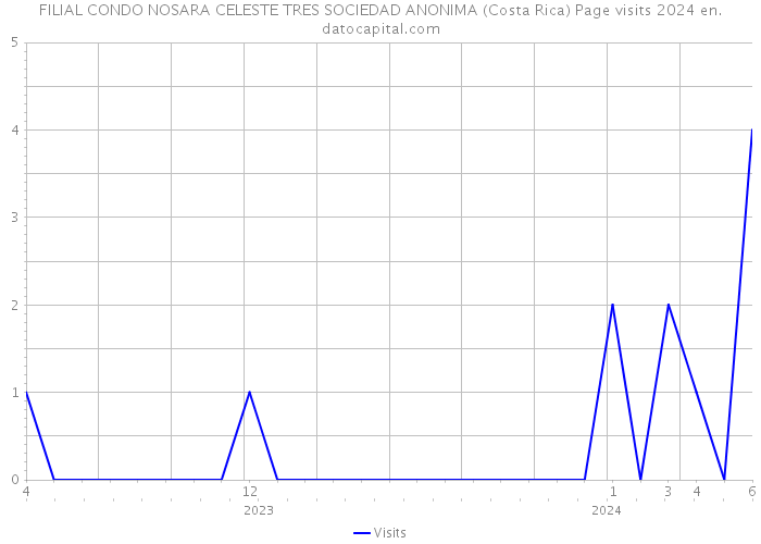 FILIAL CONDO NOSARA CELESTE TRES SOCIEDAD ANONIMA (Costa Rica) Page visits 2024 