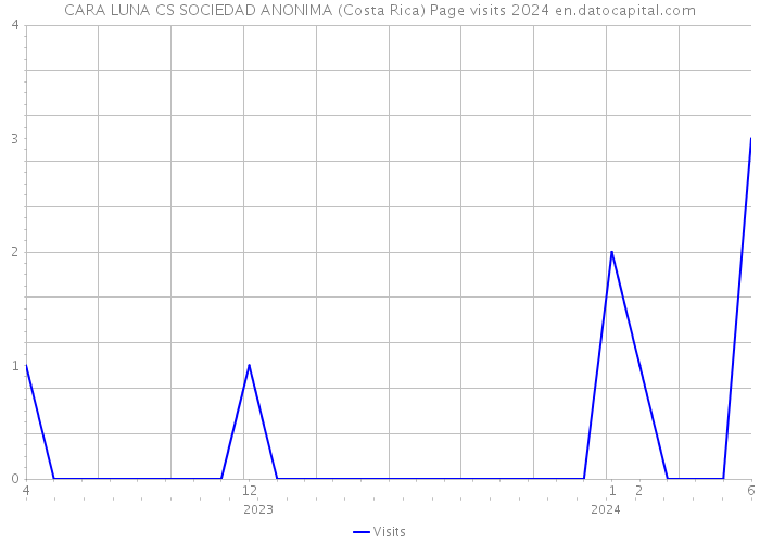 CARA LUNA CS SOCIEDAD ANONIMA (Costa Rica) Page visits 2024 