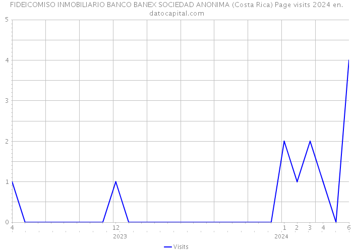 FIDEICOMISO INMOBILIARIO BANCO BANEX SOCIEDAD ANONIMA (Costa Rica) Page visits 2024 