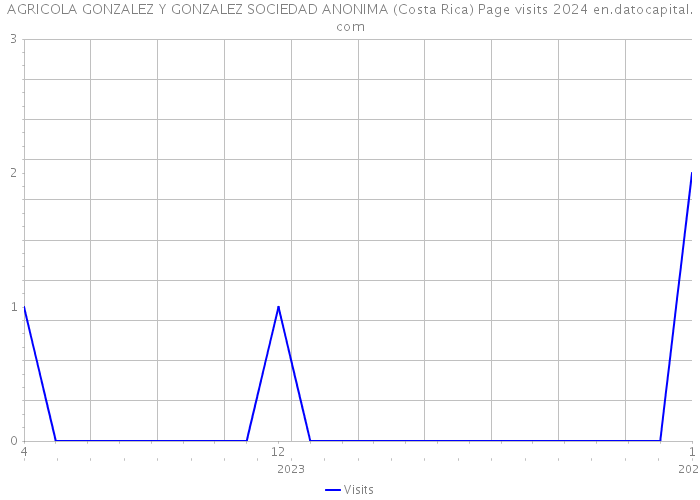 AGRICOLA GONZALEZ Y GONZALEZ SOCIEDAD ANONIMA (Costa Rica) Page visits 2024 